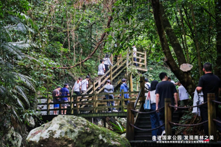 回歸自然，發現海南熱帶雨林之美